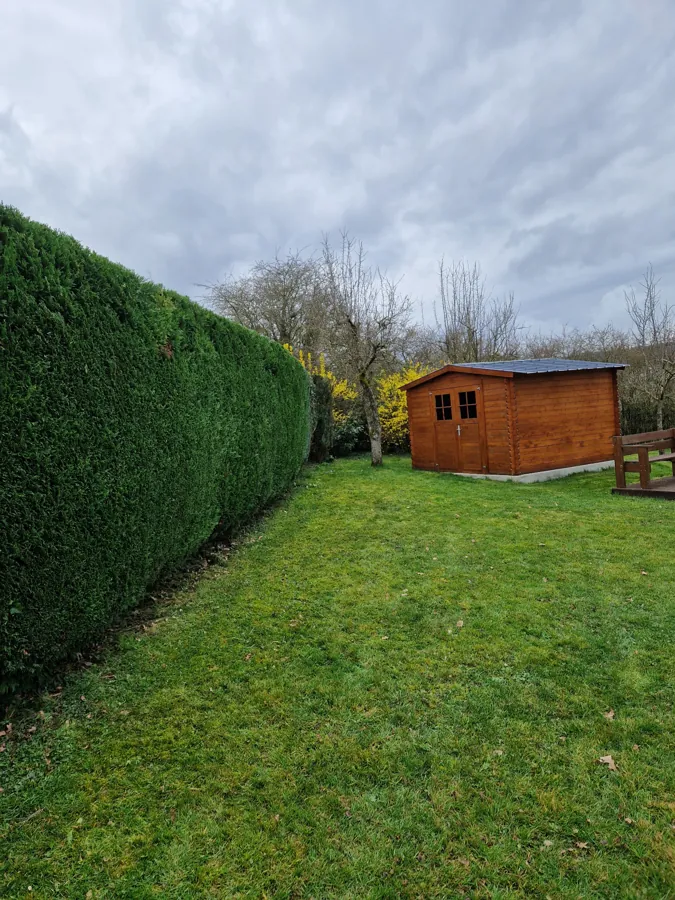 Haie dense taillée le long d’une pelouse, près d’un abri de jardin en bois